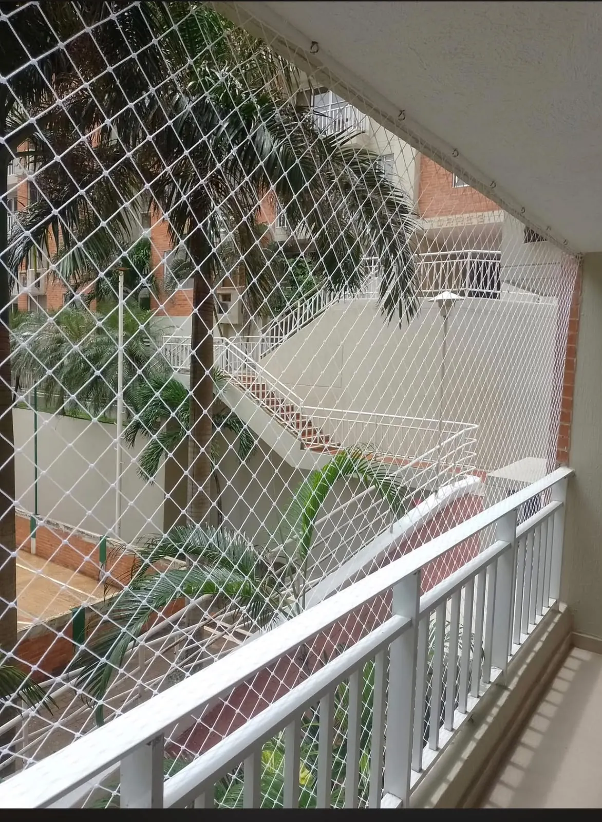 Terraza amplia con palmera, cerrada con malla de seguridad